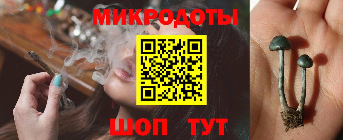 Галлюциногенные грибы ЛСД Курчатов